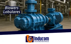 Blowers Lobulares