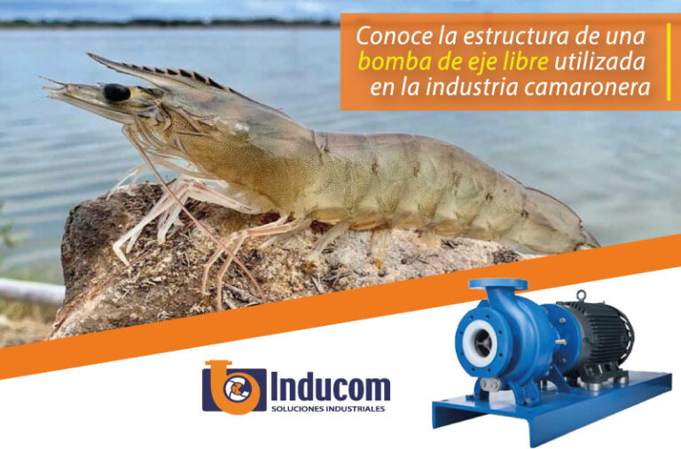 Bombeo de salmuera es posible con bombas centrifugas serie c en empresa empacadora de camarones