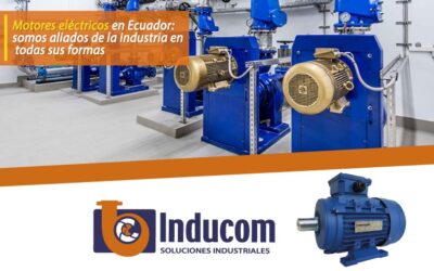 Motores eléctricos en Ecuador: somos aliados de la industria en todas sus formas