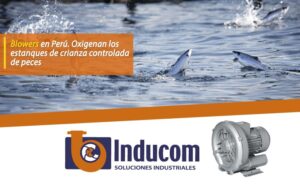 Blowers en Ecuador. Oxigenan los estanques de crianza controlada de peces