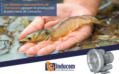 Los blowers regenerativos de Thompson, apoyan la producción ecuatoriana de camarón