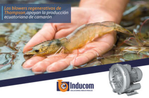 Blowers en Ecuador