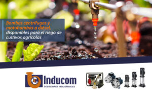 Bombas centrífugas y motobombas a diésel, disponibles para el riego de cultivos agrícolas