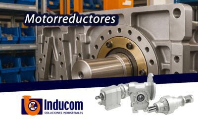 4 pasos para elegir un motorreductor correctamente