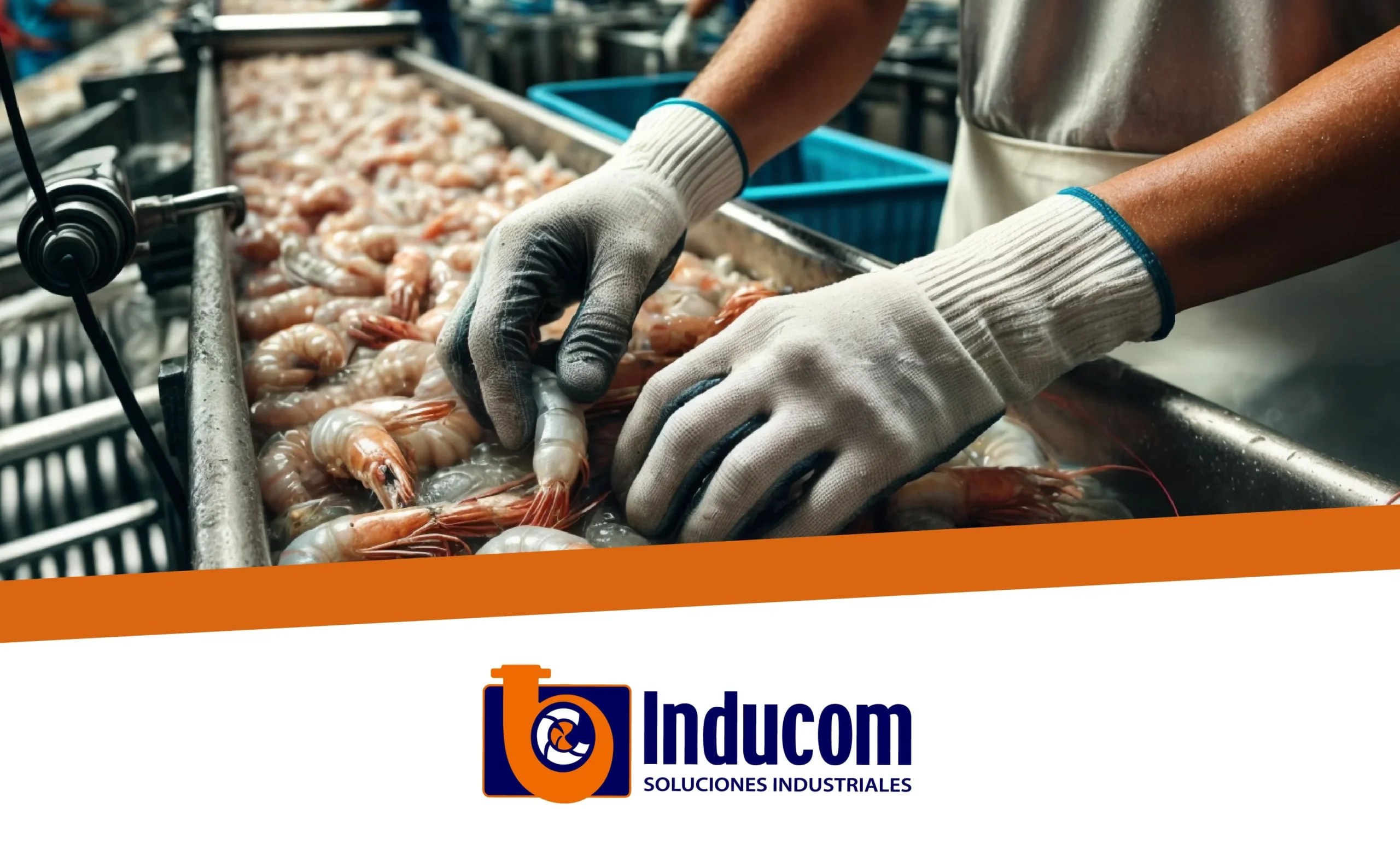 industria camaronera en Ecuador