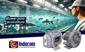 Importancia de la oxigenación en la piscicultura y acuicultura blowers industriales