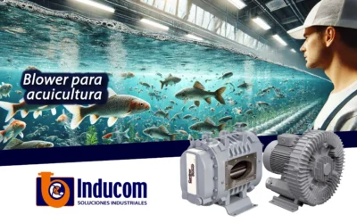 Importancia de la oxigenación en la piscicultura y acuicultura blowers industriales