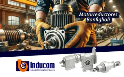 Motorreductores bonfiglioli en ecuador conoce el modelo de tornillo sin fin