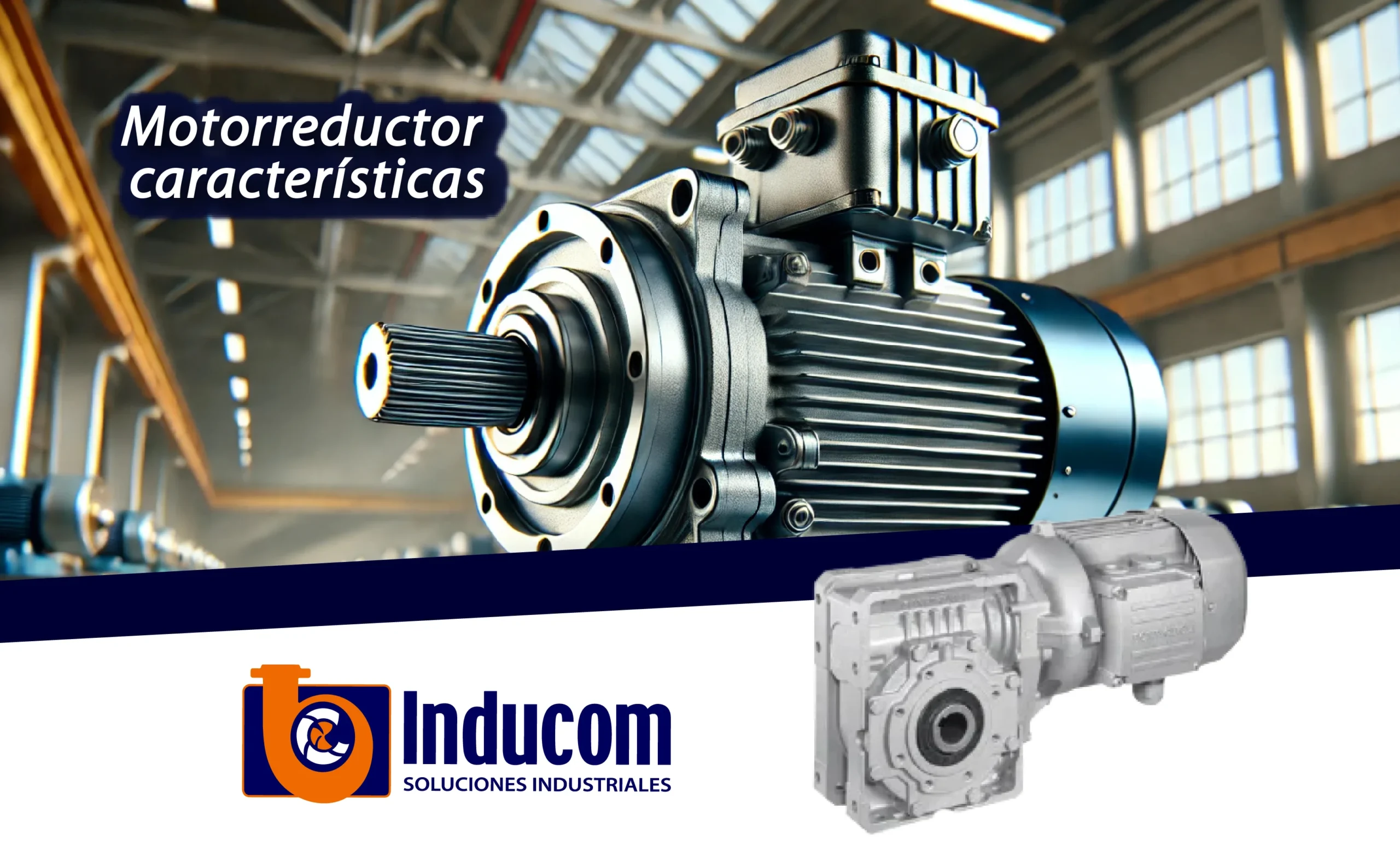 Motorreductor caracteristicas
