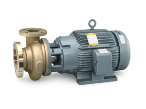 Bombas Monoblock de bronce