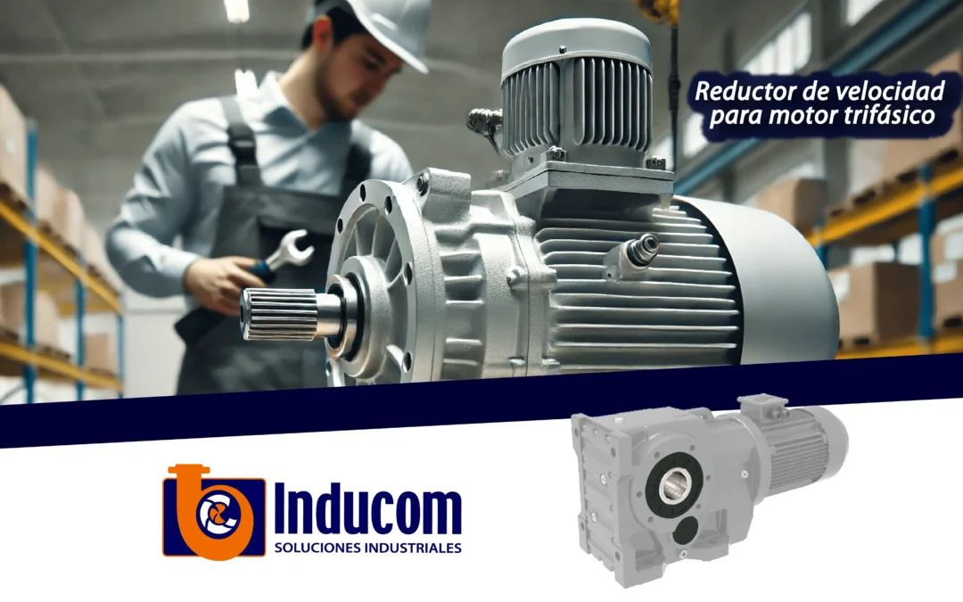 Reductor de velocidad para motor trifásico