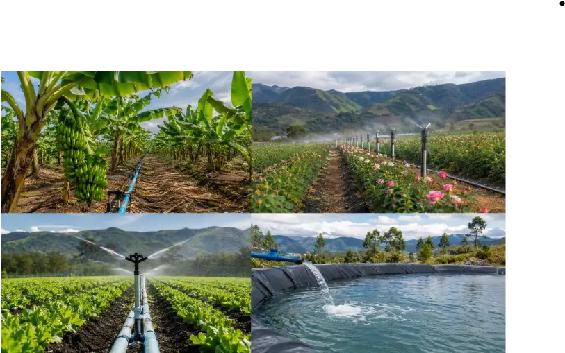 bombas sumergibles